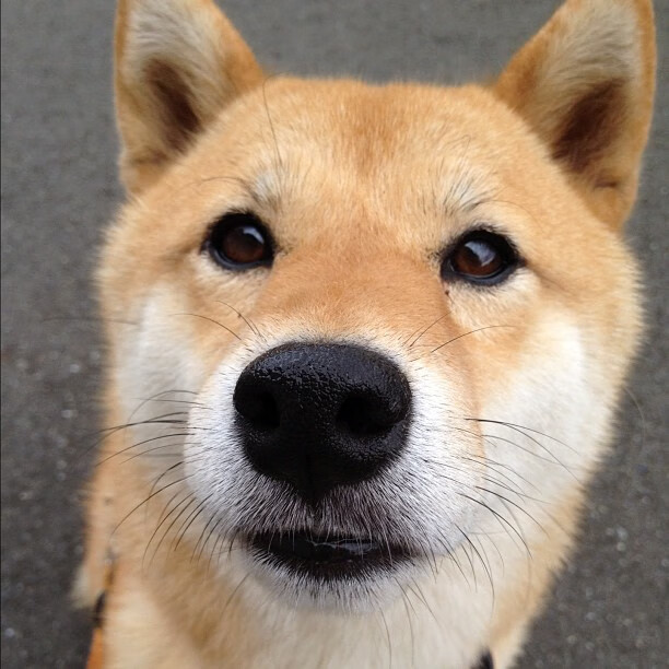 开云体育登录网站入口-亚洲杯国足平局 球迷呼吁保持稳定心态，媒体评国足亚洲杯