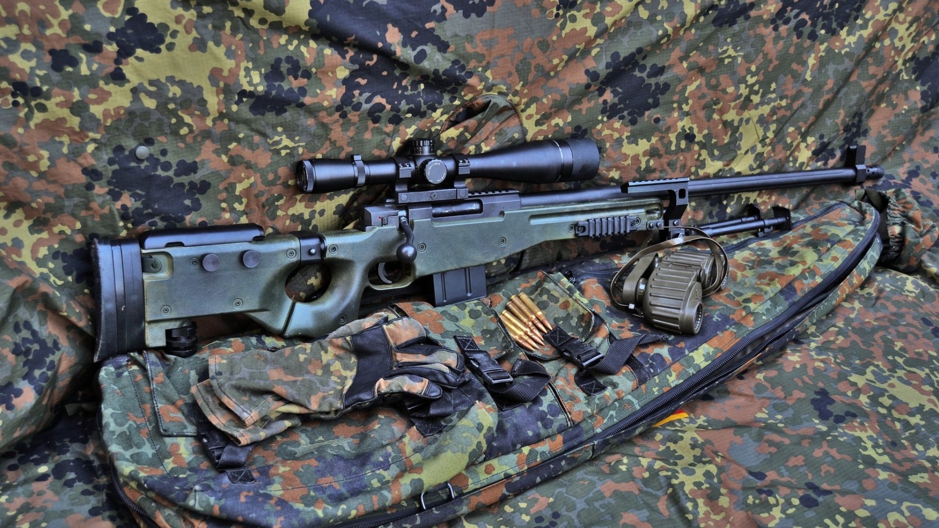 波兰队未来规划：全力推动年轻选手的成长与国际竞争，波兰队情况