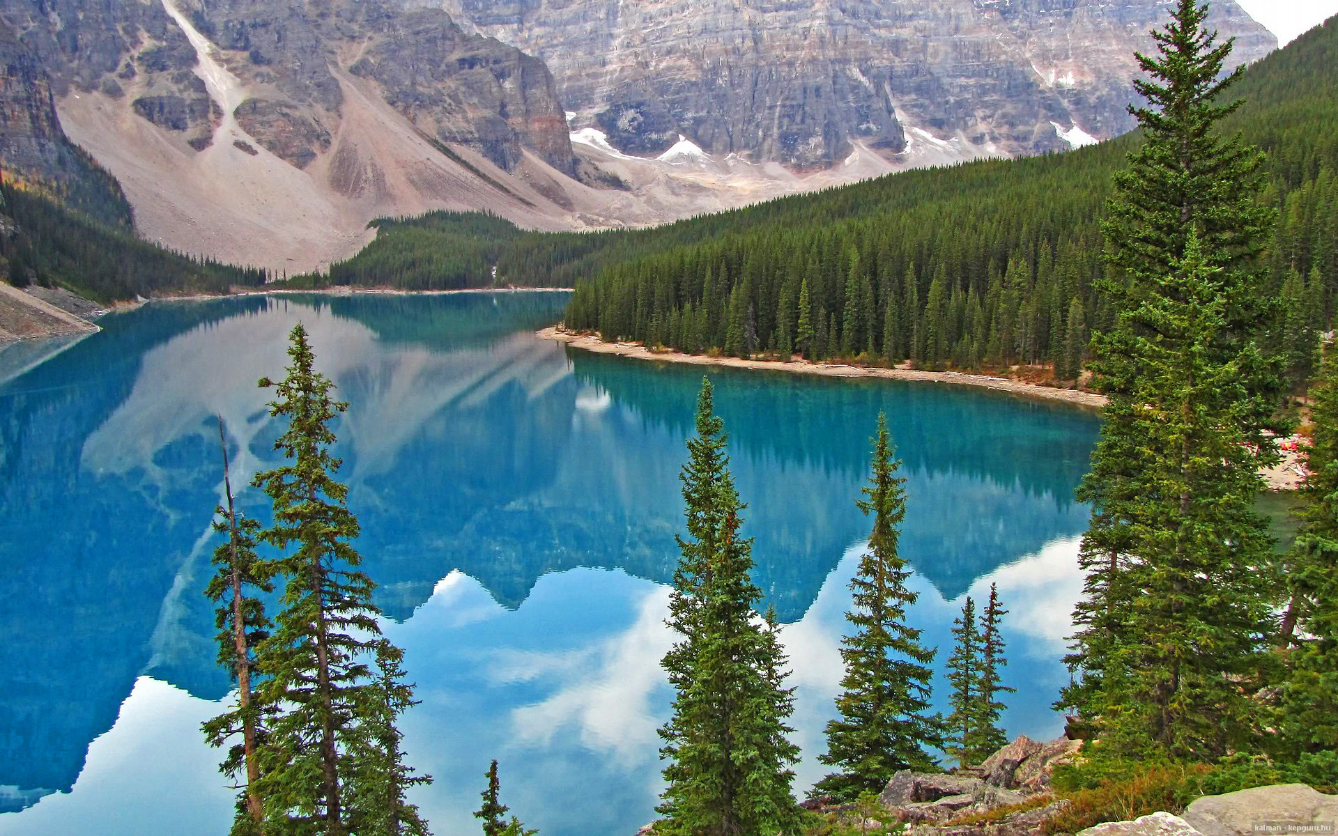 混合泳全能型选手大放异彩，混合泳什么意思