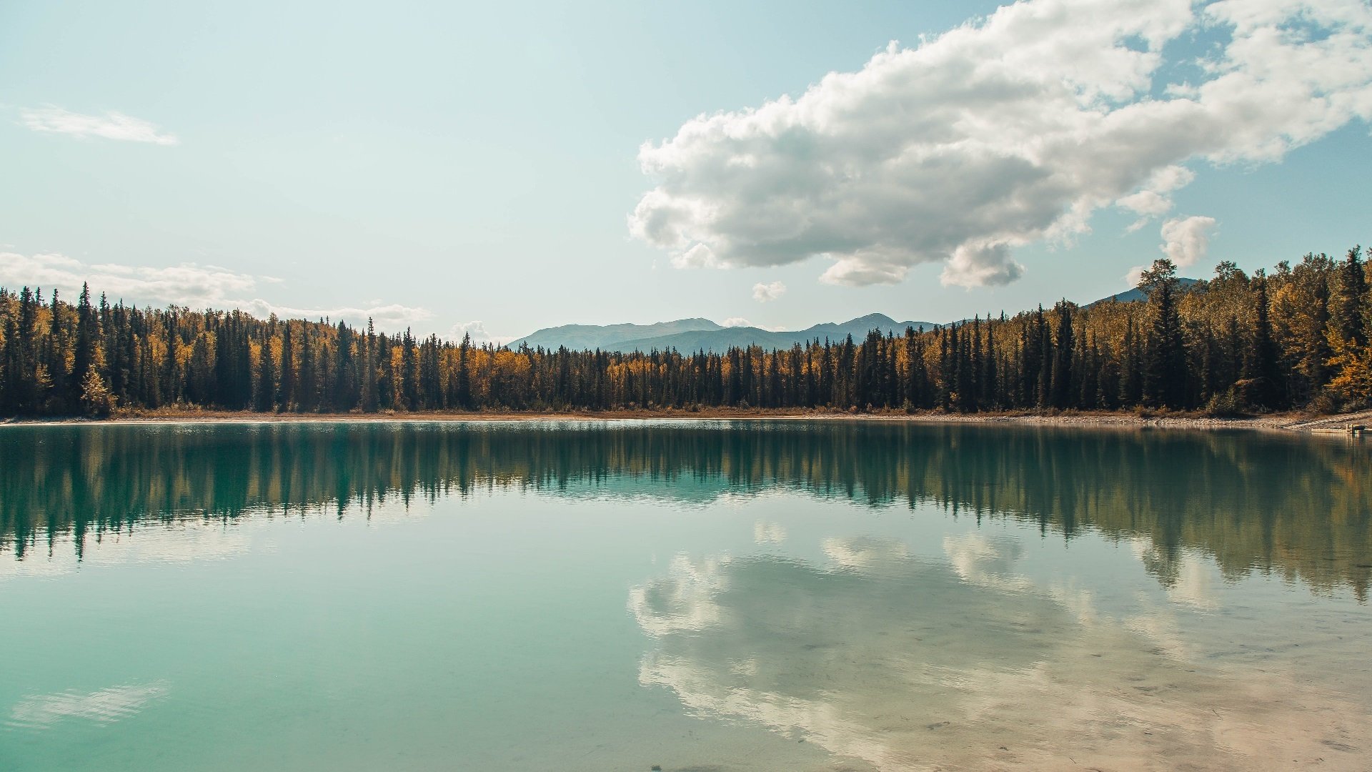 节奏冲击是否会导致球员判断错误,节奏型有什么用
