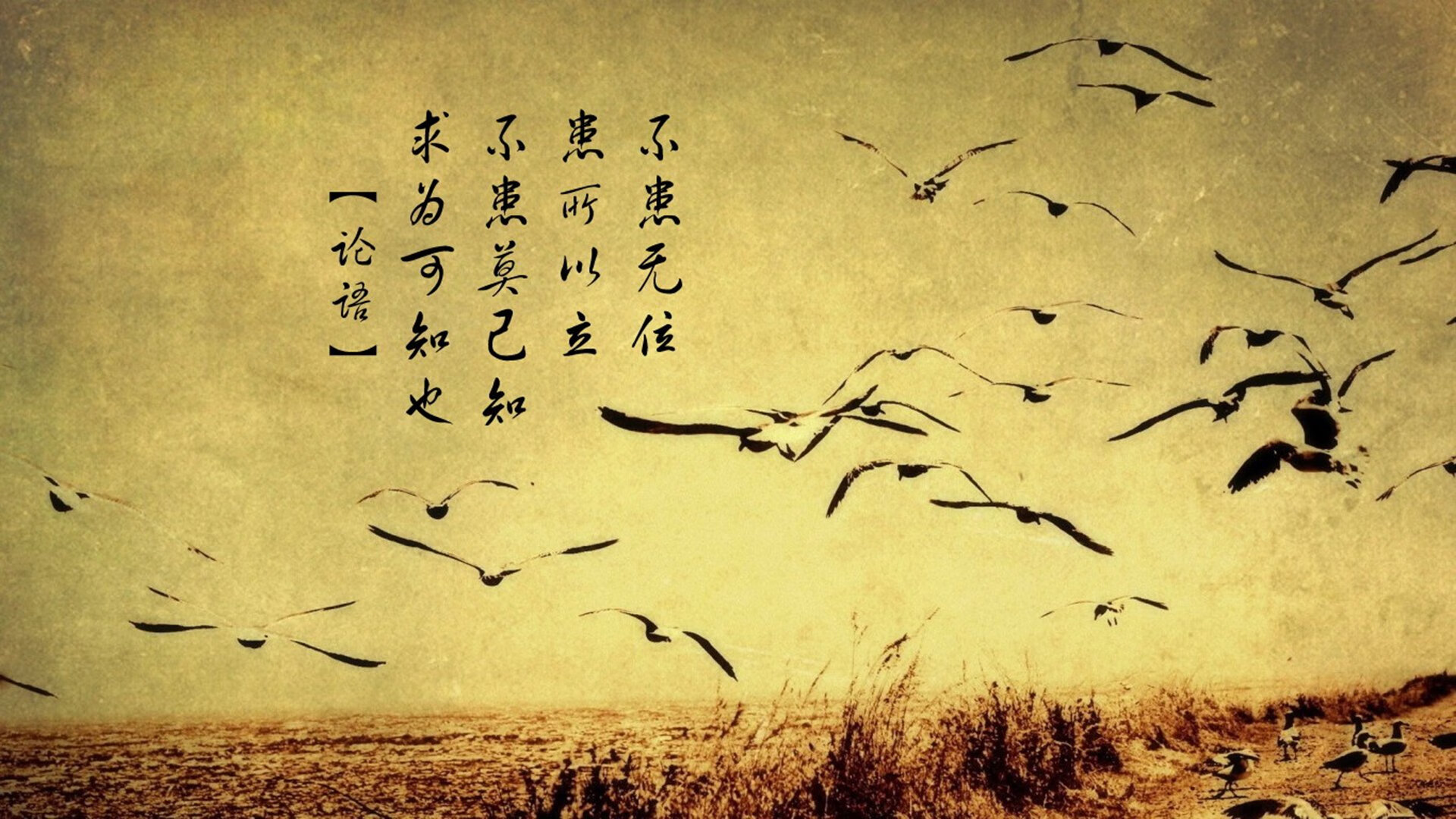 “安赫尔·巴尔博萨的传球视野与突破技术，成为阿根廷美洲狮队的进攻引擎”