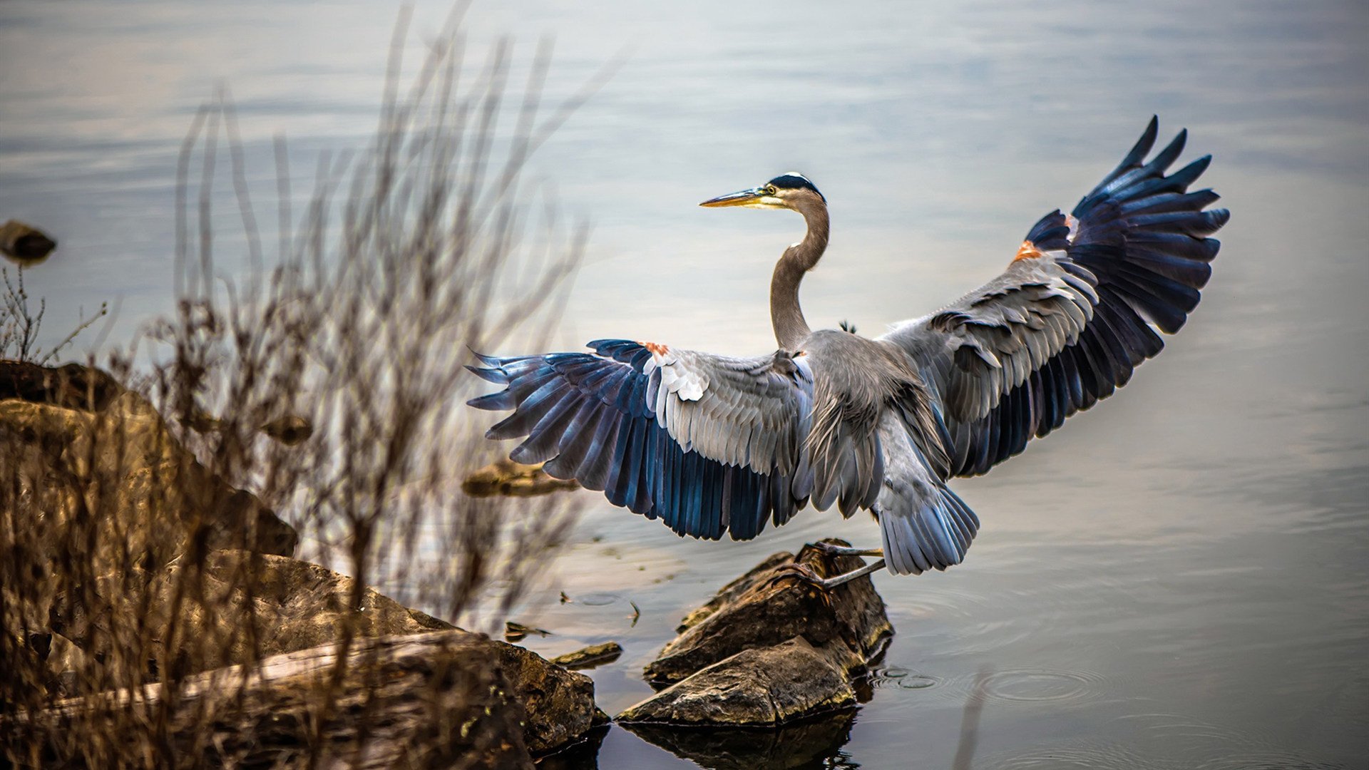 世界杯战火纷飞：最燃比赛场景回顾，世界杯战歌